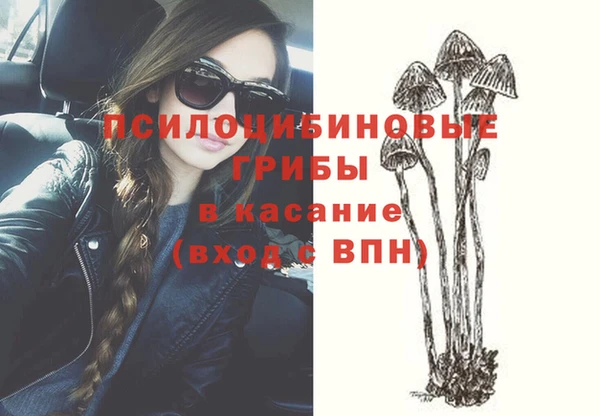 твердый Володарск