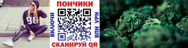 Купить где  Сольвычегодск  Бошки марихуана AK-47 